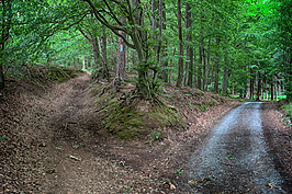 Spessart 2023 (3v9)_t.jpg